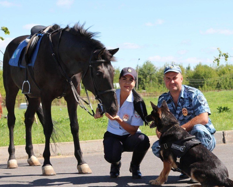     В Курской области в этом году сотрудники патрульно-постовой службы задержали 30 человек