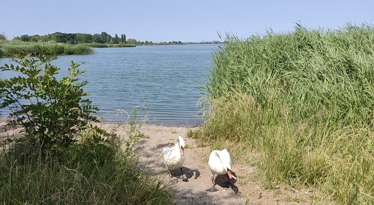 Фото автора.