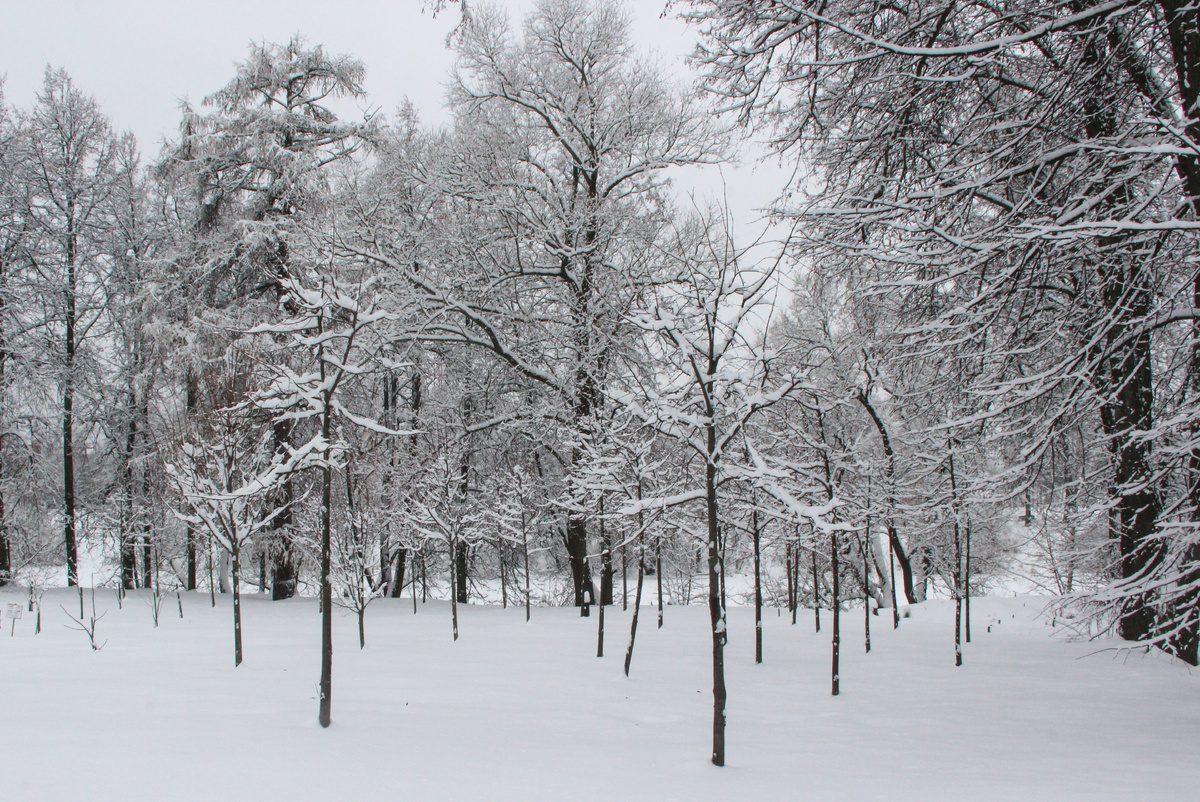 Парк в усадьбе был создан в XVIII-XIX веках и представляет собой сочетание регулярного и пейзажного стилей.