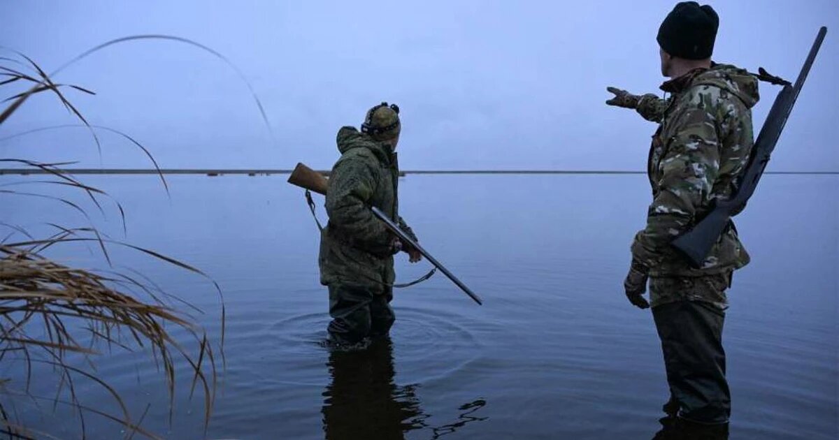 Фото: Александр Кряжев / РИА «Новости»