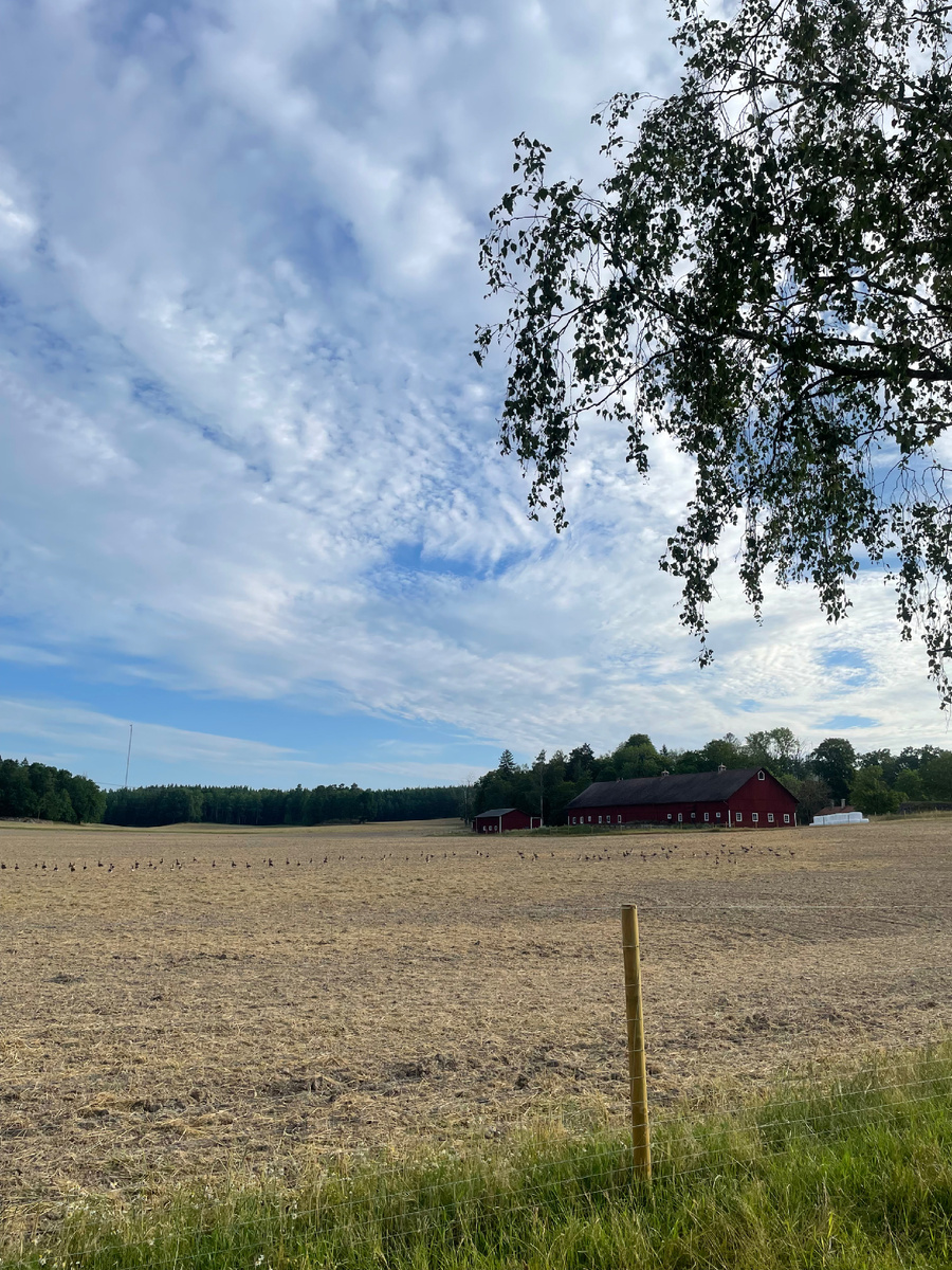 Фото из личного архива 