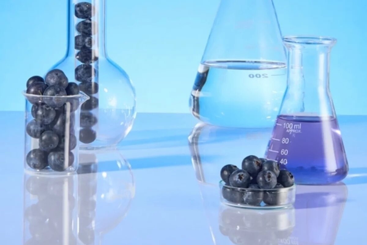    Ученые, окрыленные находкой, планируют продолжать исследования в этом направлении.