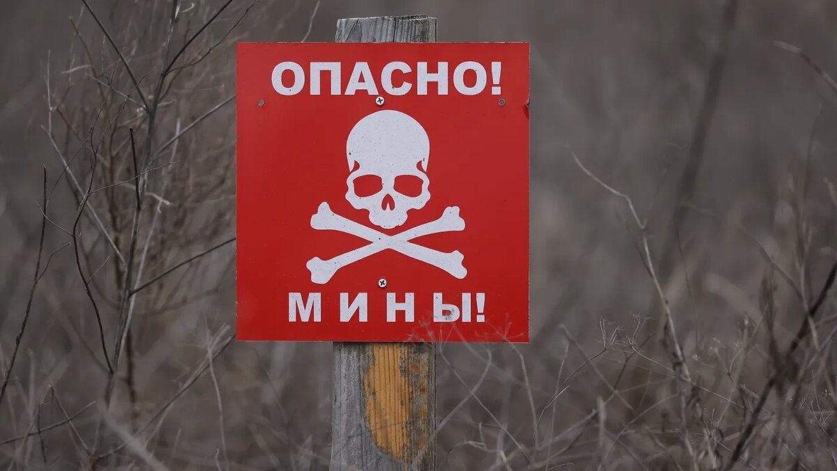   Александр Рюмин / ТАСС- Архивное фото