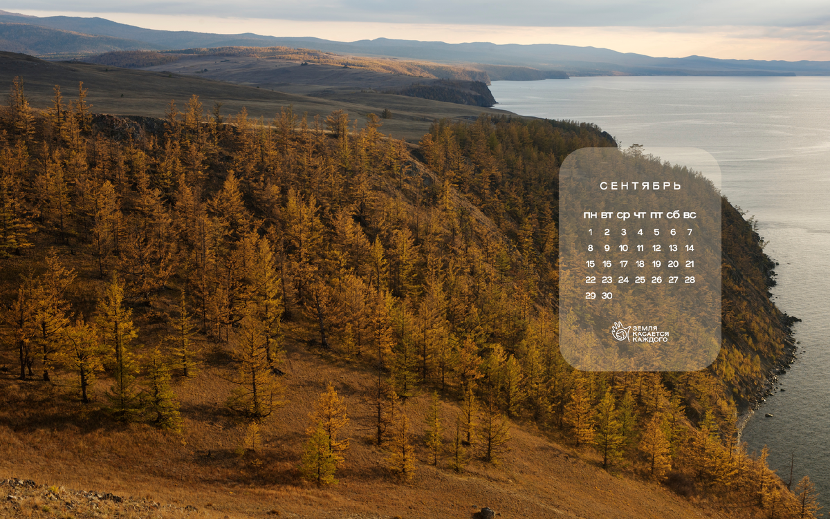 Первый вариант.