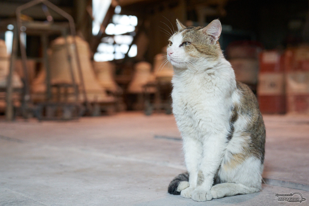    Фото: Лидия Аникина © ИА «Уральский меридиан»