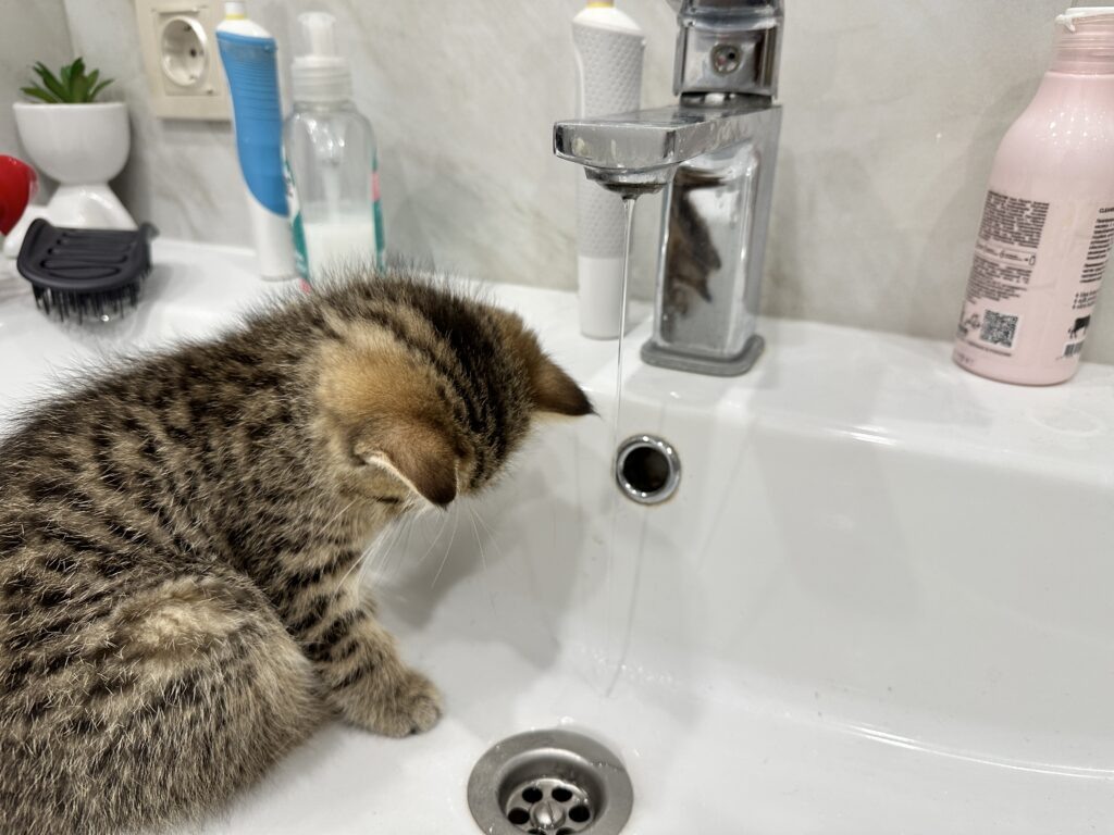    Фото: v-kurse.ru Ольга Гилёва