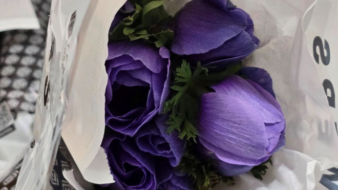 Фото: Пресс-служба Северо-Западного межрегионального управления Россельхознадзора