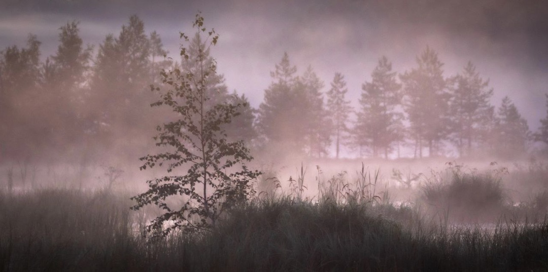 Лютое болото. 14 сентября