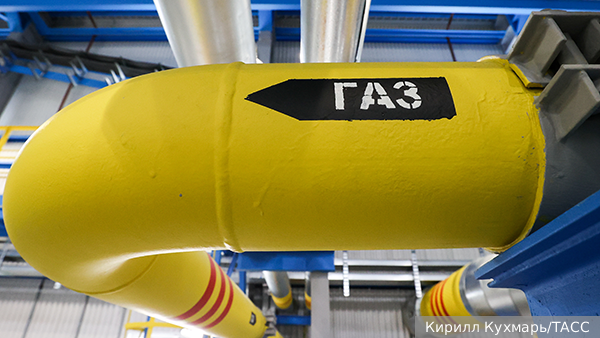     Фото: Кирилл Кухмарь/ТАСС   
 Текст: Анастасия Куликова