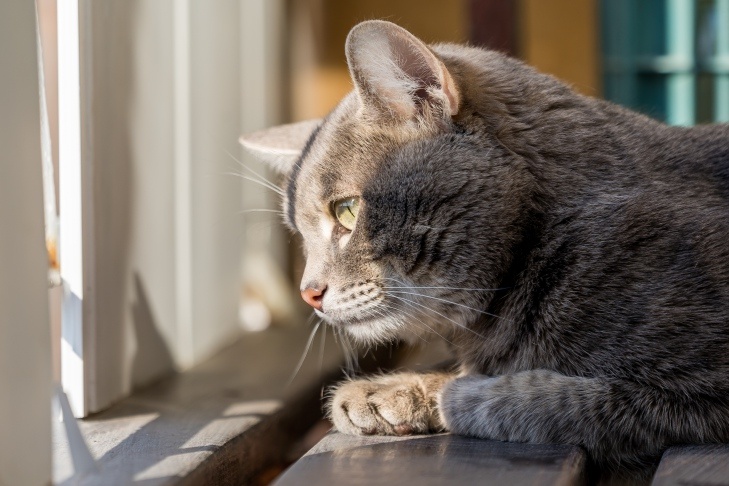   Фото Андрея Заржецкого