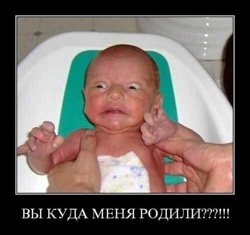 Изображение с просторов интернета