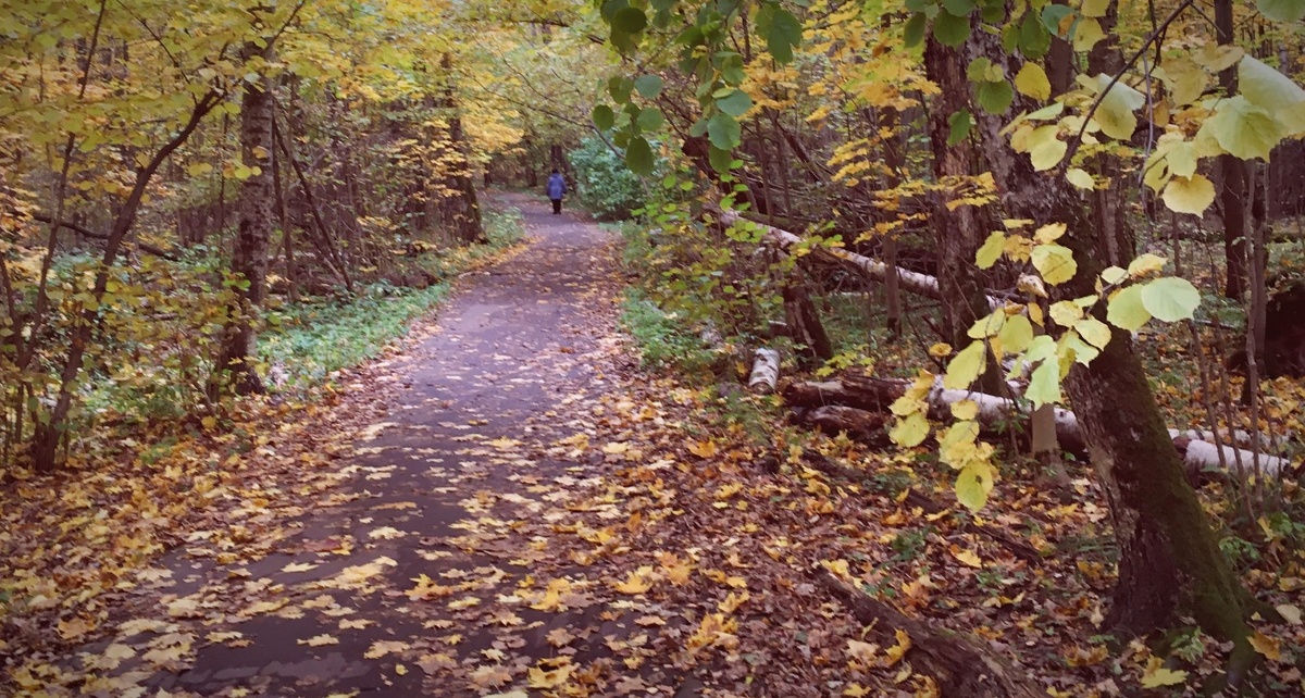 растительные отходы