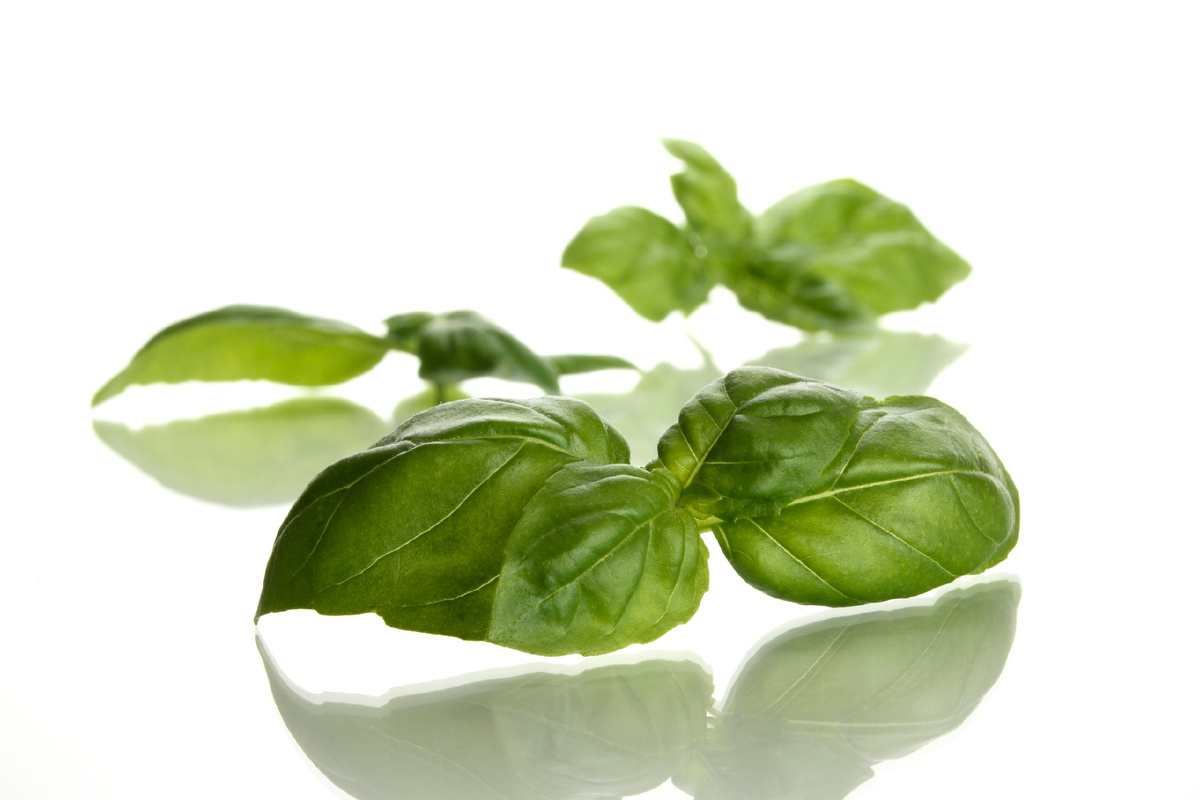 Фото: © Ralph Kerpa/ http://imagebroker.com/#/search// Global Look Press