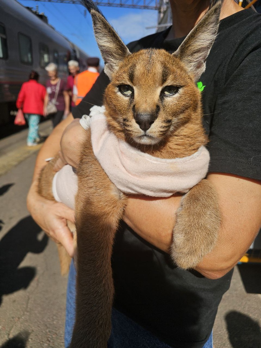 Красота же!