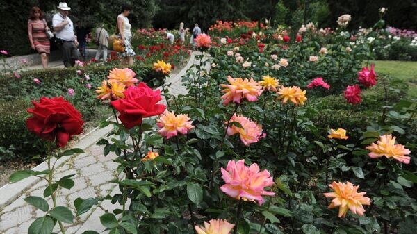    © Sputnik / Сергей Мальгавко