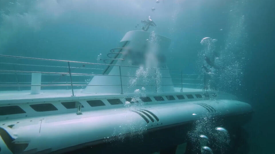 Фото: © Кадр из программы "Как устроен мир", РЕН ТВ