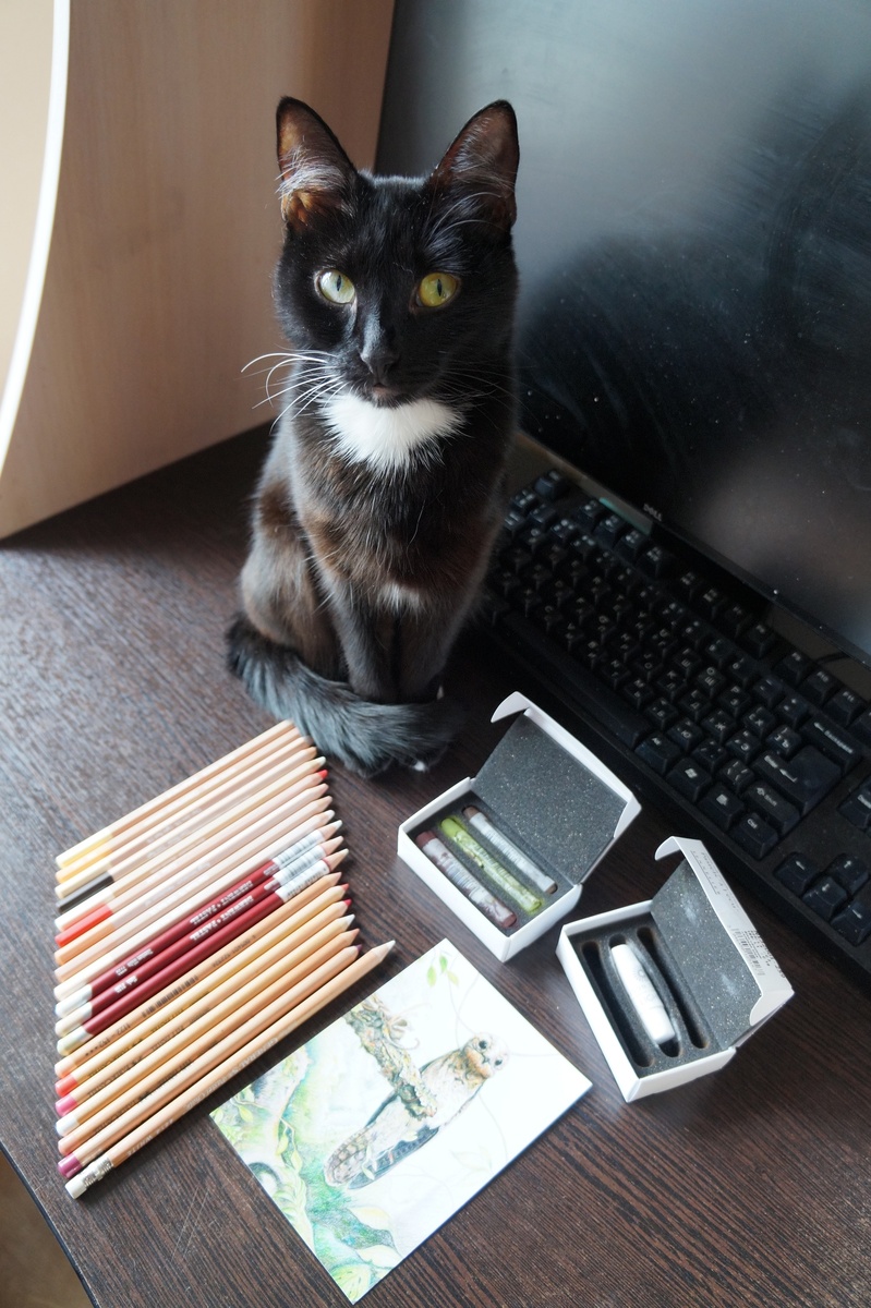 Эленька позирует вместе с художественными материалами. 2019 год. Автор фото Корягина Светлана (Корга Арт)