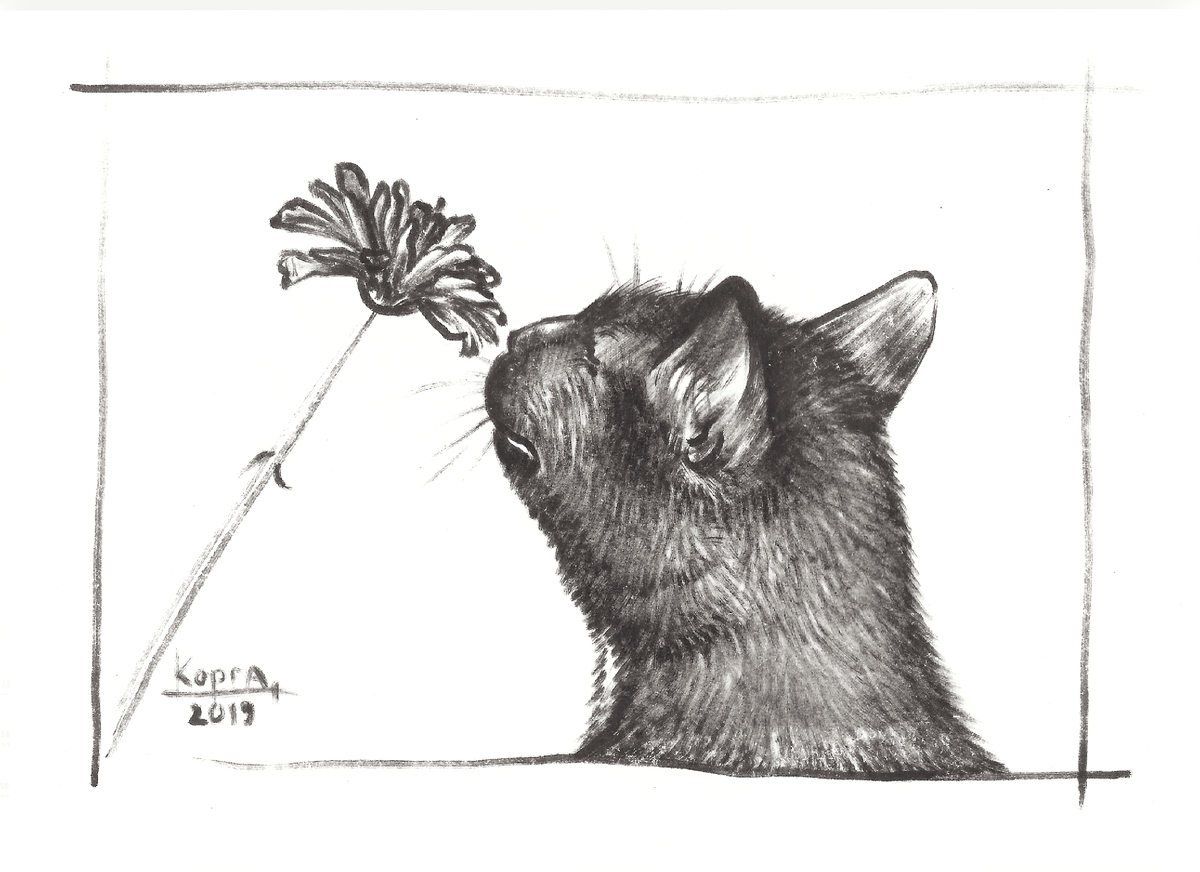 Рисунок моей кошки Эленьки нюхающей цветочек. Рисунок выполнен полувысохшим брашпеном на бумаге. Формат А4. 2019 год. Художник Корягина Светлана (Корга Арт)