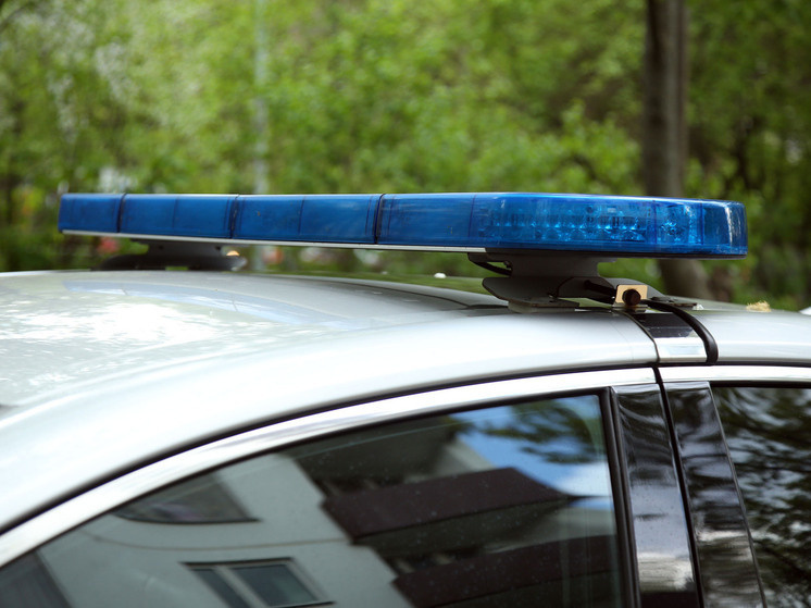 Фото: Лилия Шарловская
