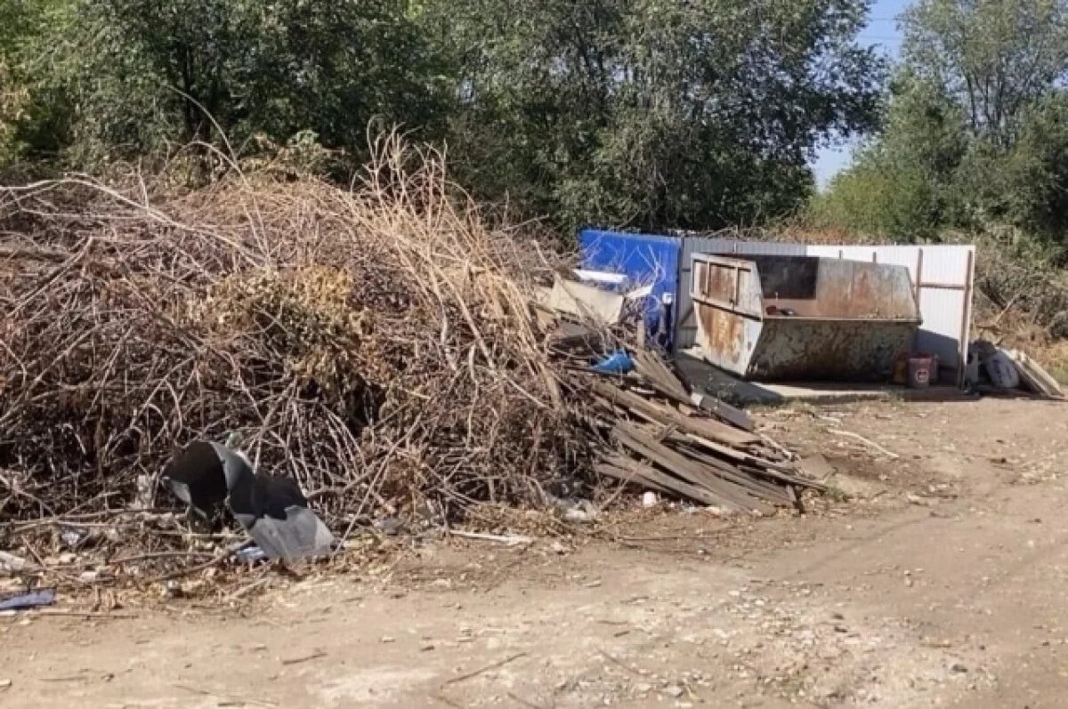    Астраханцам запретили складировать ветки и траву на контейнерных площадках