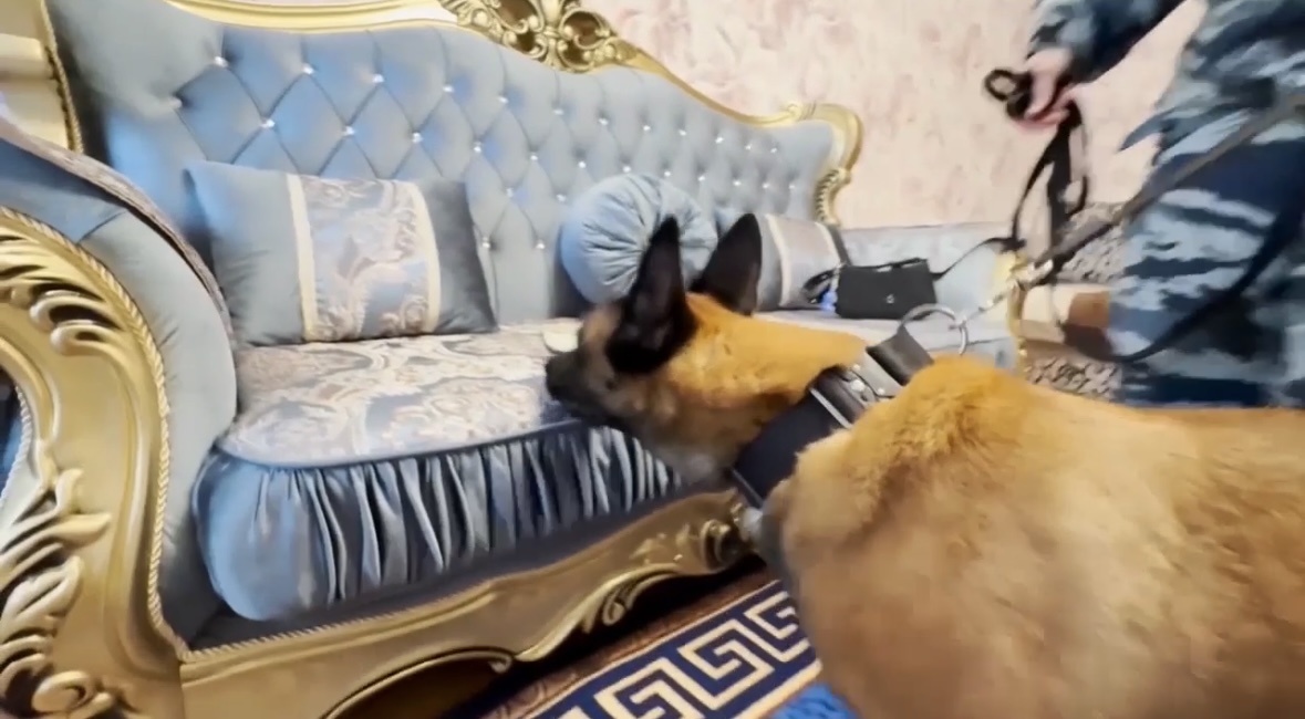 ГУ МВД по Петербургу и Ленобласти