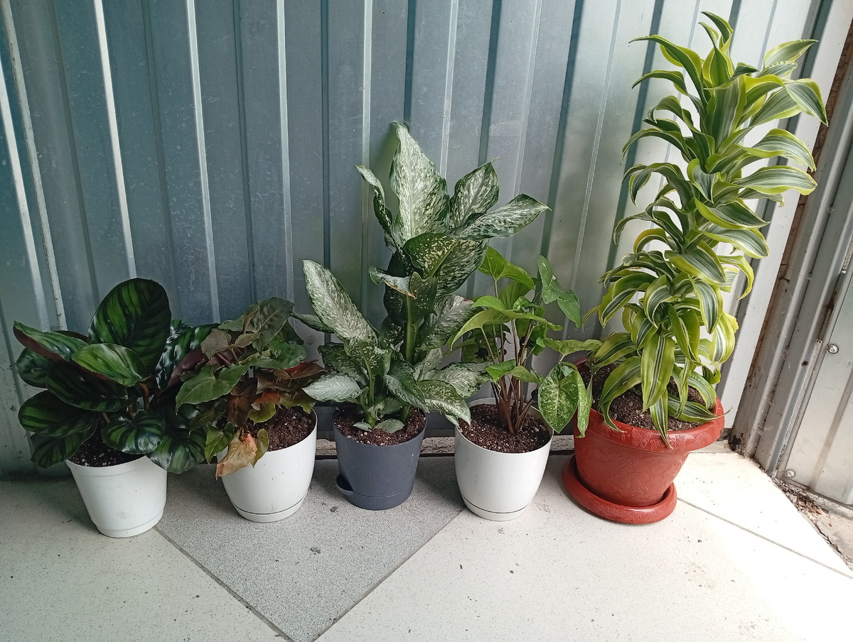 Так удобно работать на улице.