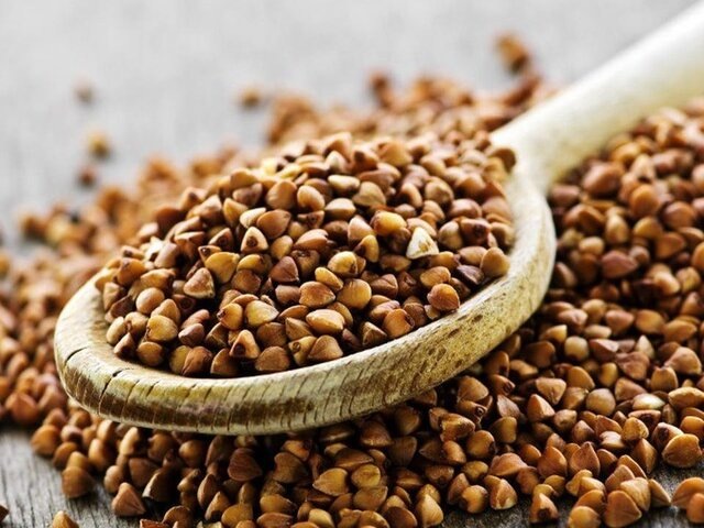    Фото: depositphotos/elenathewise