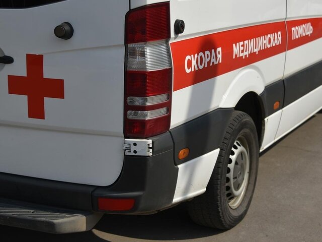    Фото: Москва 24/Антон Великжанин