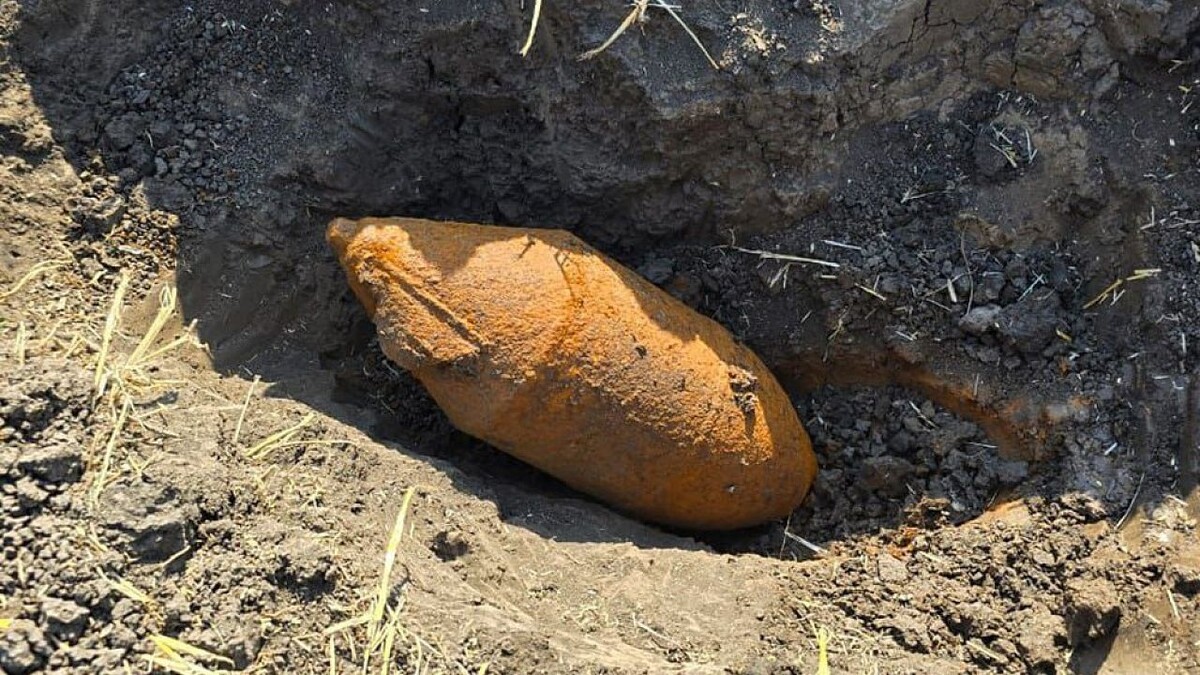    Фото: t.me/rosgvard_krasnodar