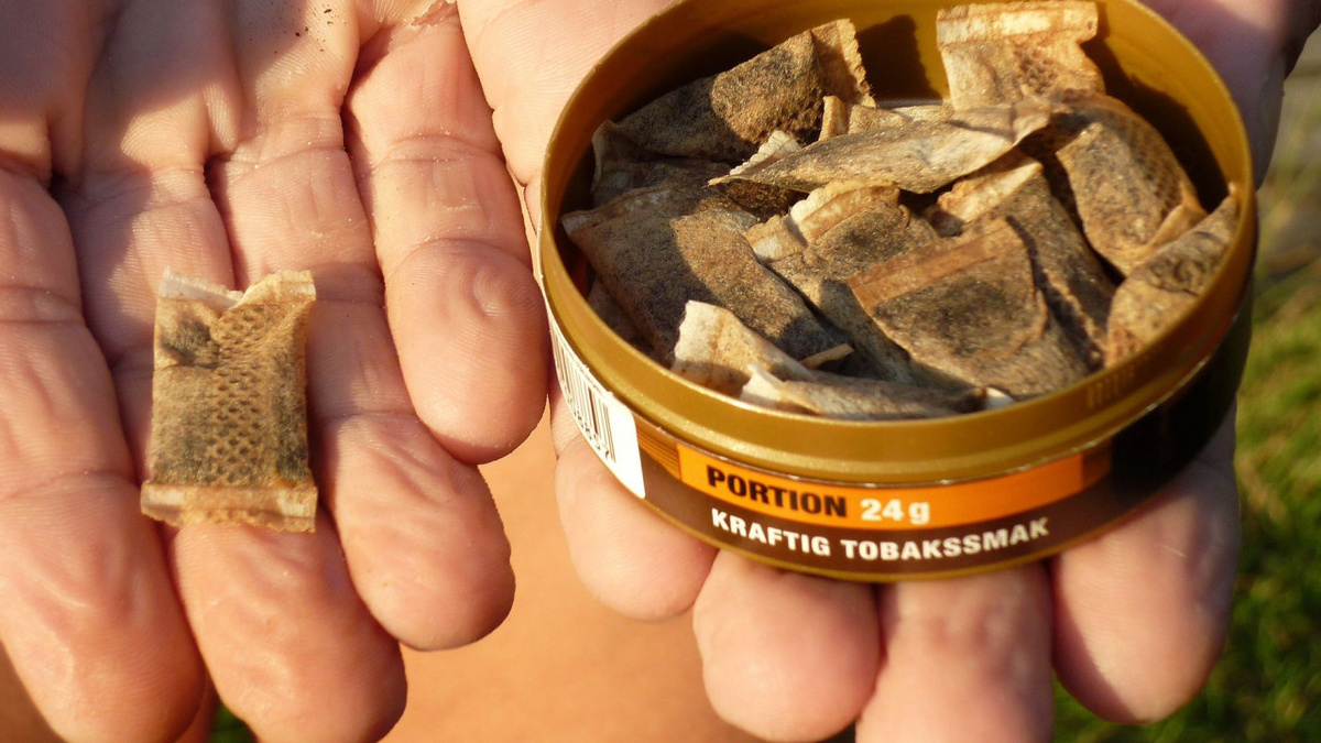 Источник "Яндекс Картинки"