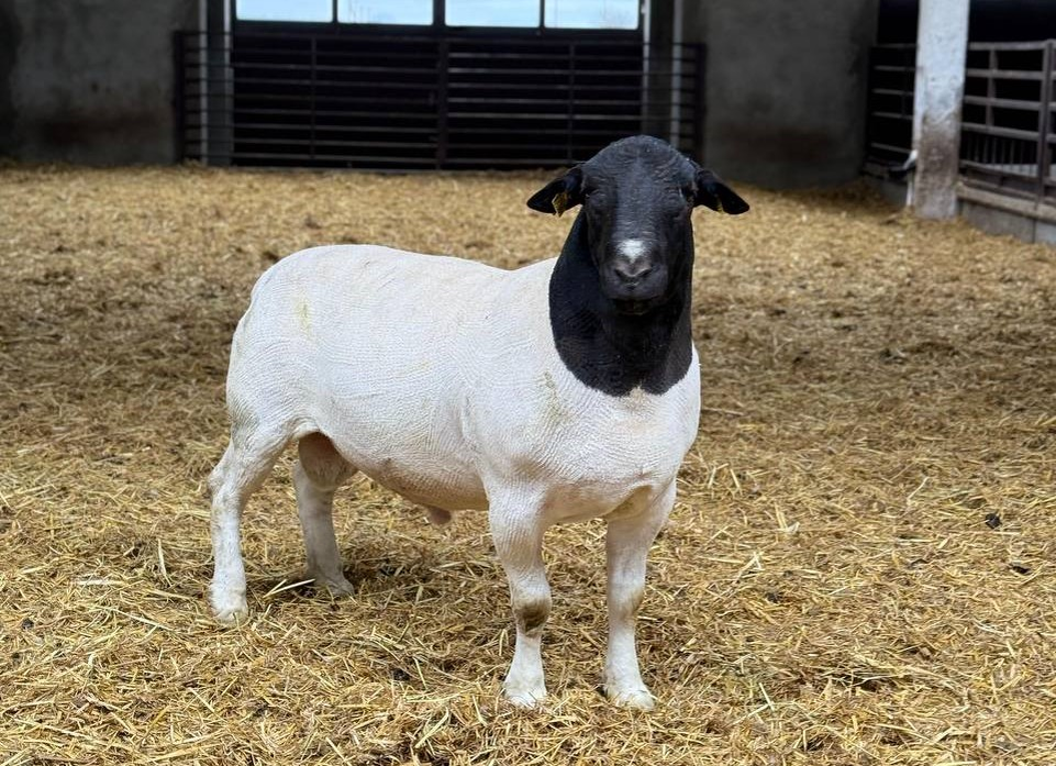 Фото: Сергей Катринец