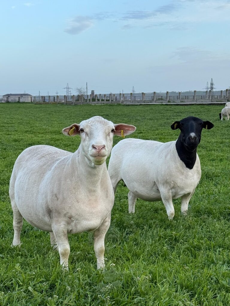 Фото: Сергей Катринец