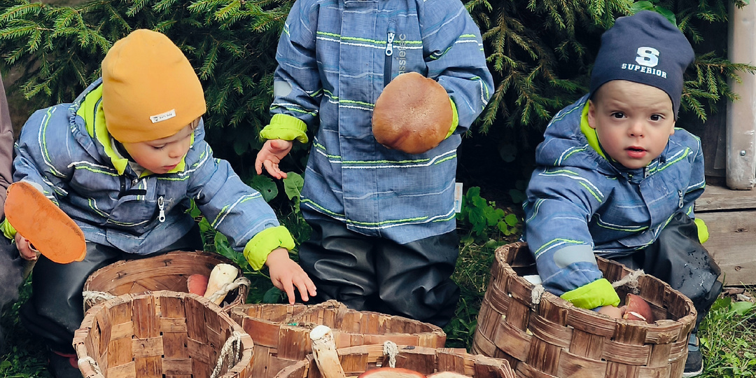 Как бабушка тройняшек медведя в лесу испугала