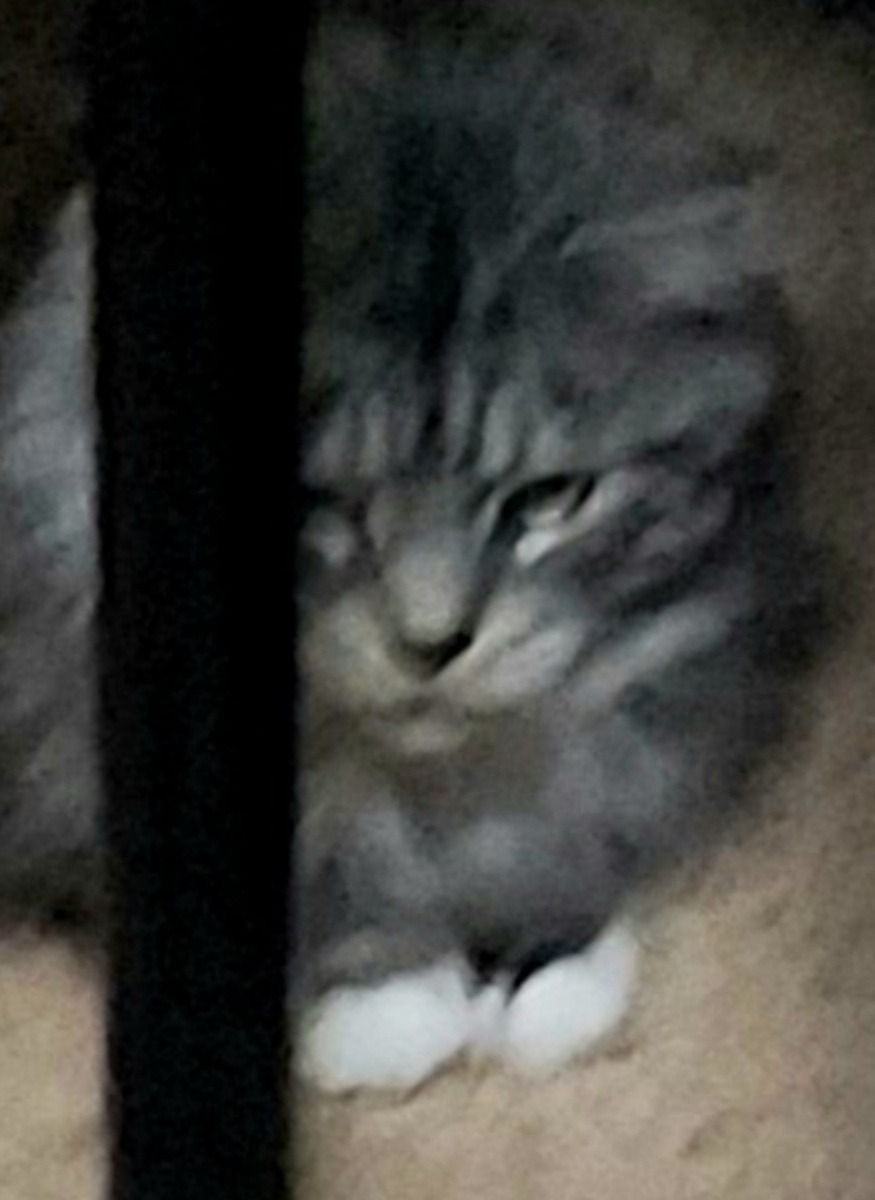 Посмотрите на морду, Дженс сосредоточен! И дик.