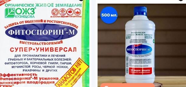 Фитоспорин‑М и Фитоспорин‑АС: в чём путают даже профи. Гид по выбору и применению