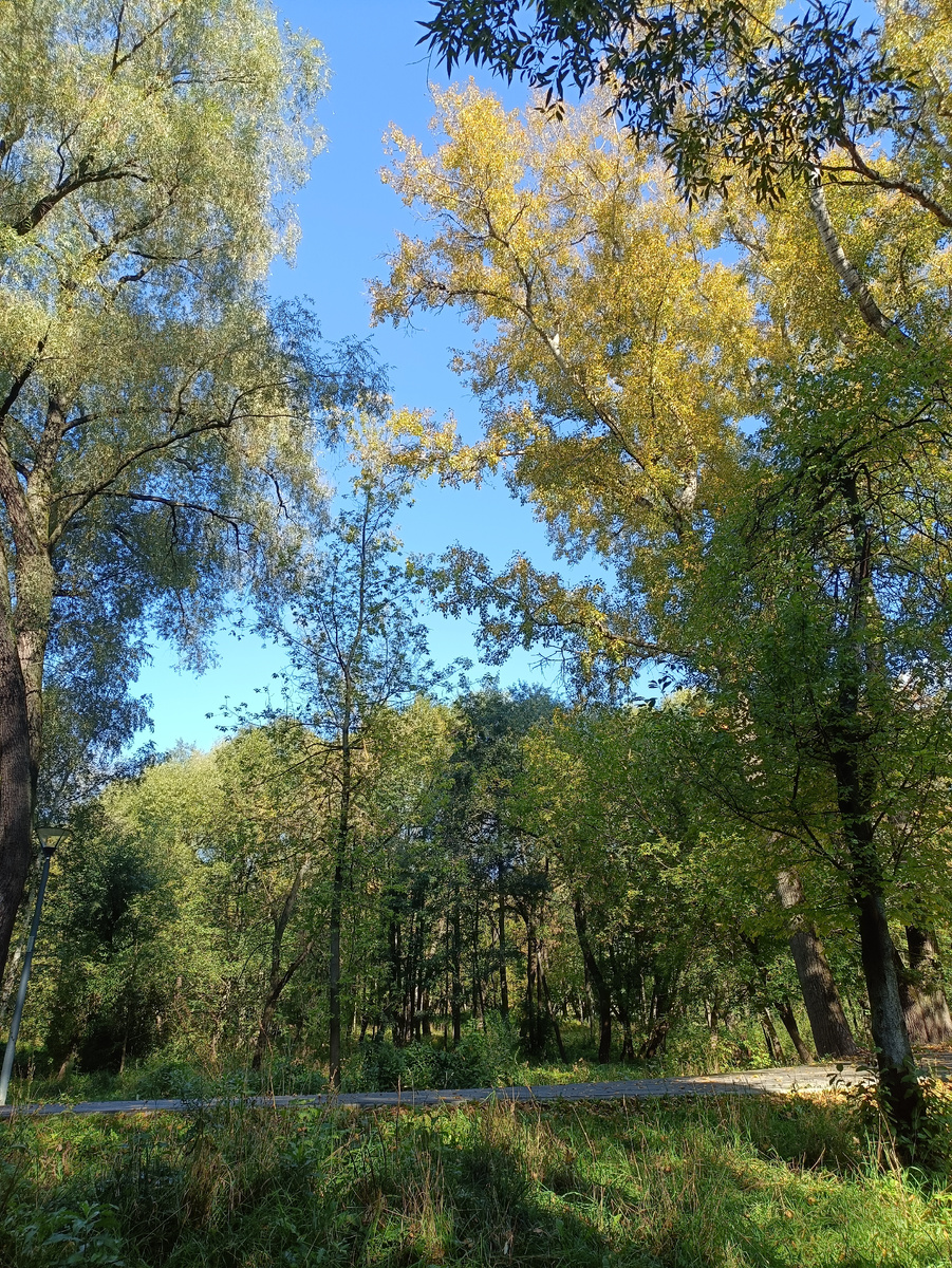 Субботнее утро на Яузе