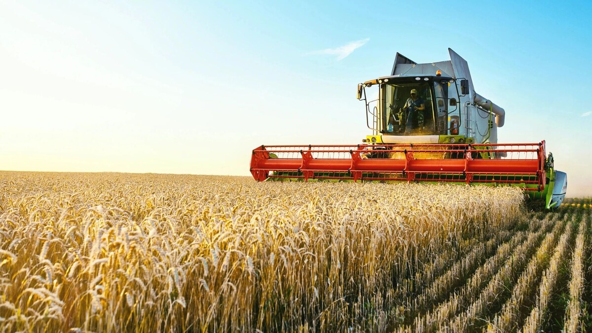    Фото: Aleksandr Rybalko/Shutterstock/Fotodom