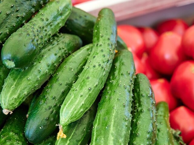    Фото: портал мэра и правительства Москвы/Максим Денисов