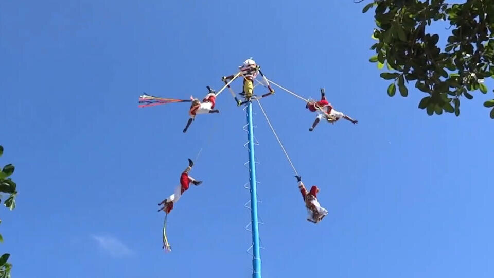 Фото: © Кадр из программы "Как устроен мир", РЕН ТВ