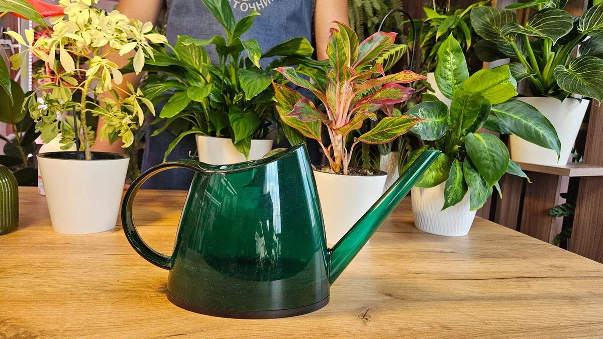 Полив - дело простое. Вроде да, но оказывается - нет