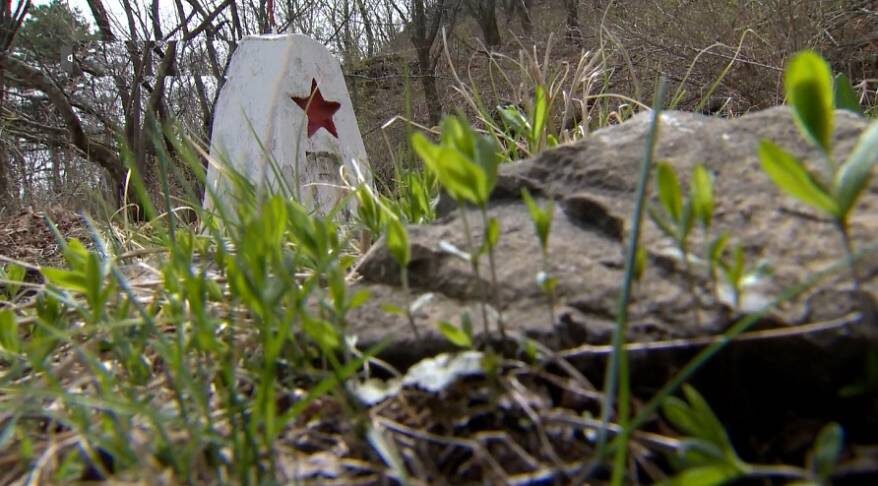    Источник фото: