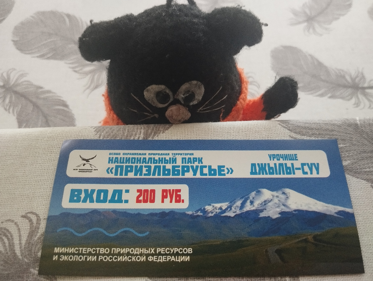 С обратной стороны билетика памятка, что запрещено делать на территории Национального Парка " Приэльбрусье"