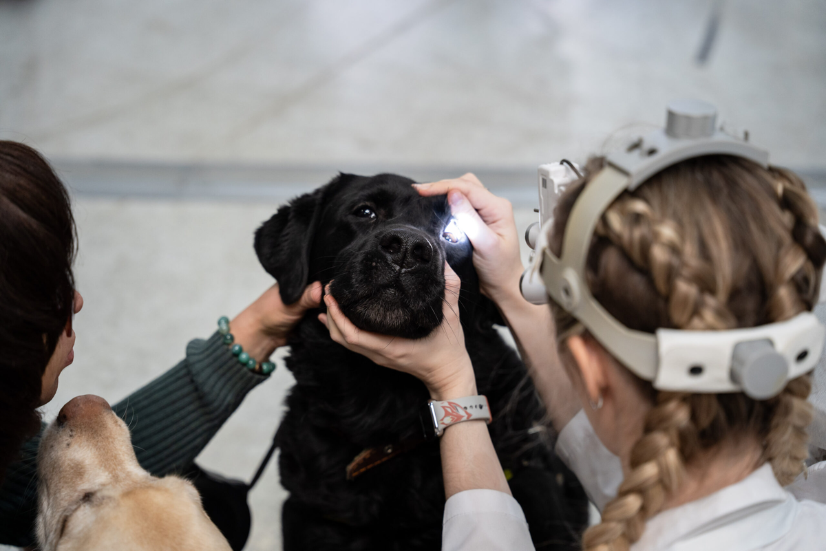 Фото: Александр Плонский / «ВиЖ»