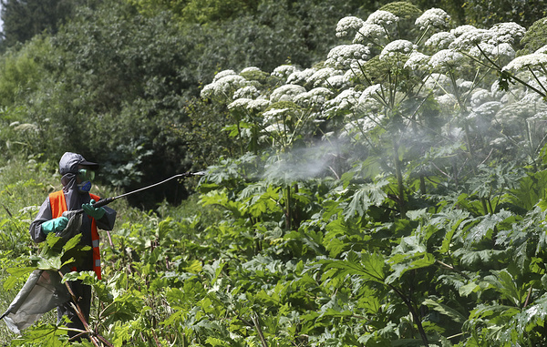 Сергей Савостьянов/ТАСС