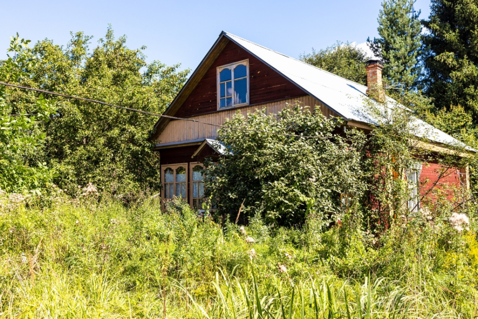    Shutterstock/FOTODOM