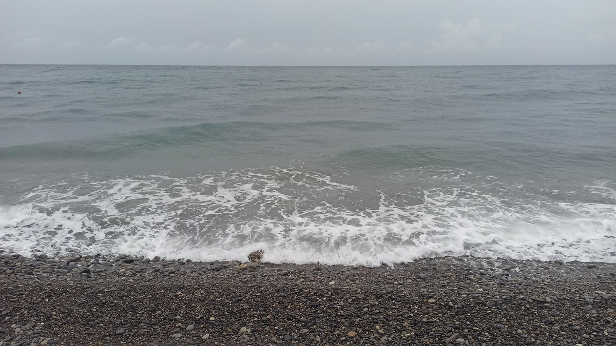 Сентябрь 2024, чудом вырвались на море, в этом году уже не получится