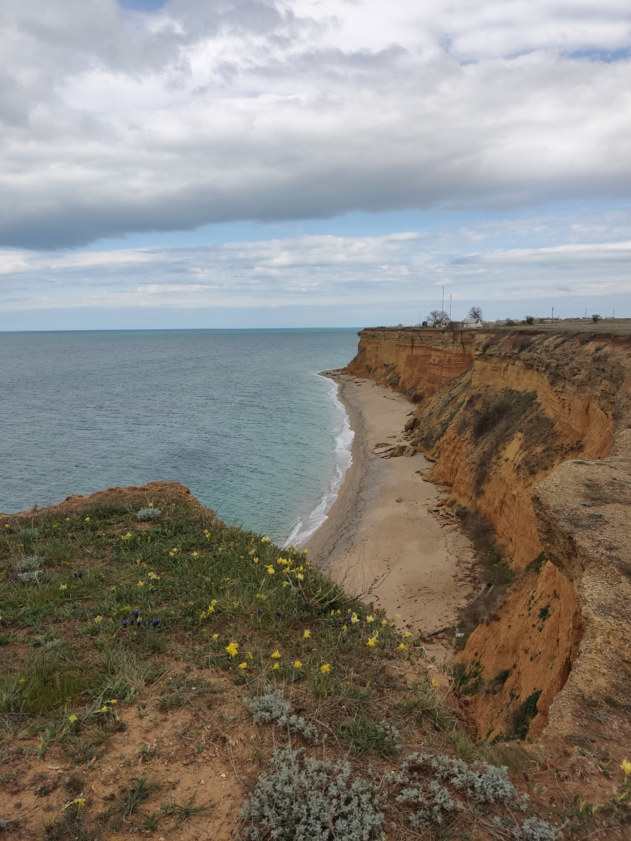 Виды в окрестностях