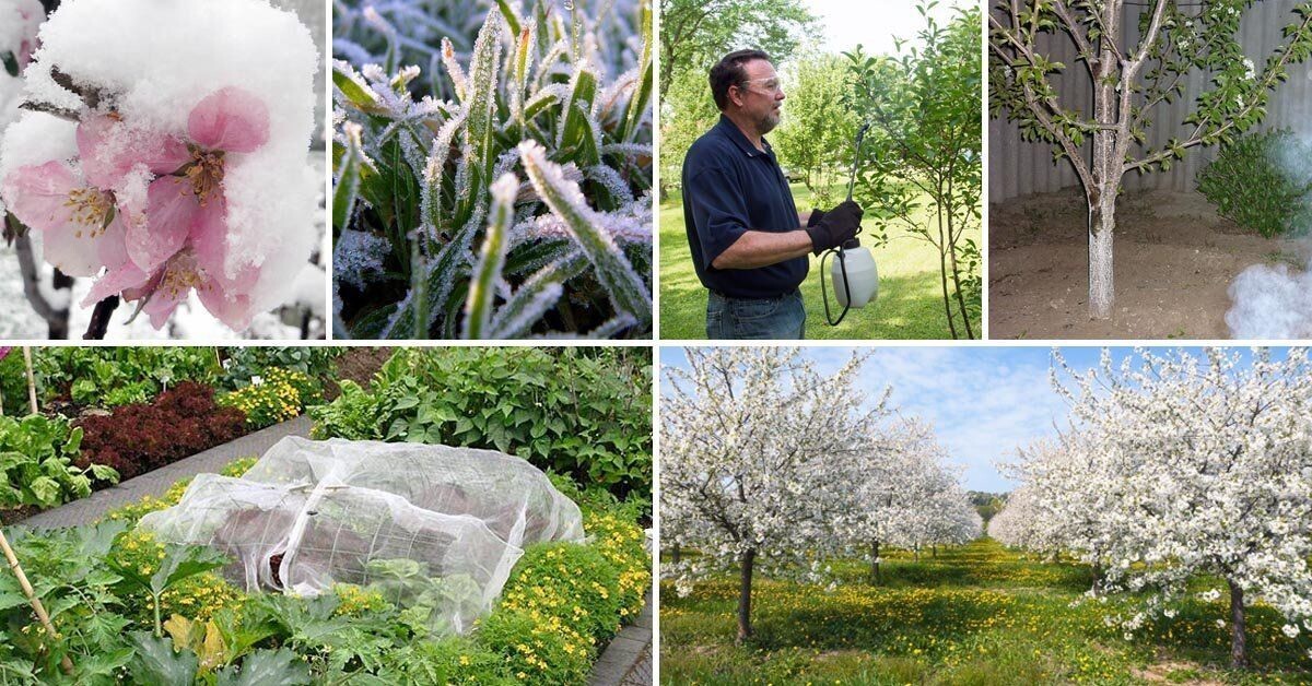 источник: https://tr.pinterest.com/pin/657384876846686496/