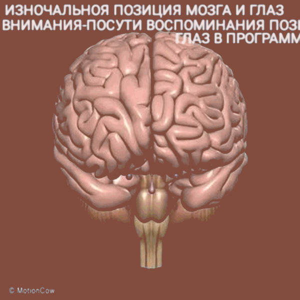 дисонас средств восприятия в голове человека фото-анимация