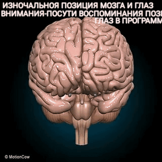 анимация gif